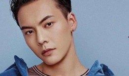 陈伟霆刘雯最新爆料人,揭秘明星私生活背后的故事