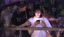 最新恋情爆料,浪漫恋情引粉丝热议